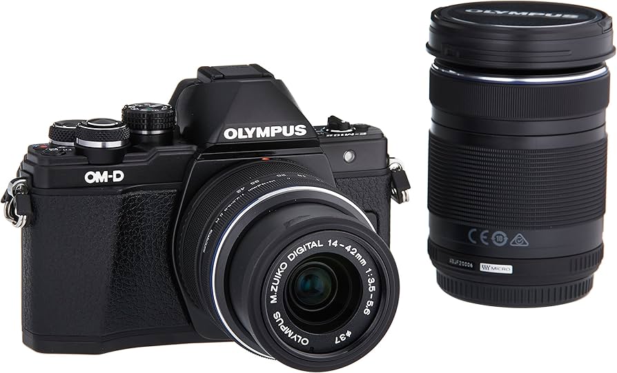 Amazon.com : OM SYSTEM Olympus OM-D E-M10 Mark II Mirrorless Micro