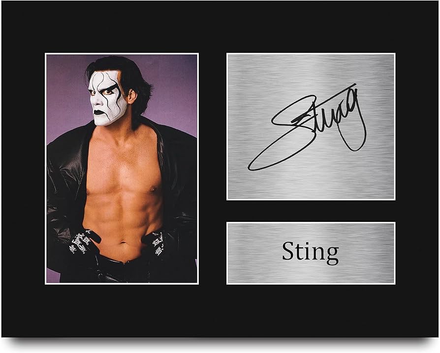 Amazon.com: HWC Trading Sting Gifts Signed Printed Autograph WWE