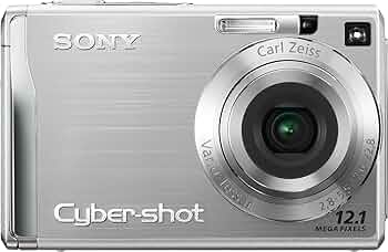 Amazon.com : Sony Cybershot DSCW200 12.1MP Digital Camera with 3x