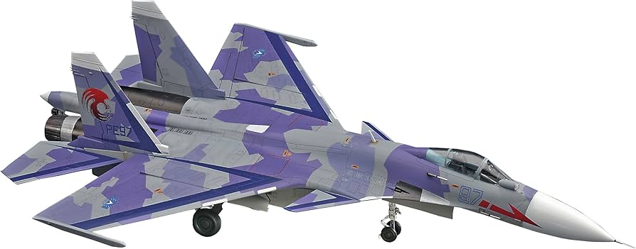Amazon | ハセガワ 1/72 エースコンバットシリーズ Su-33 フランカーD