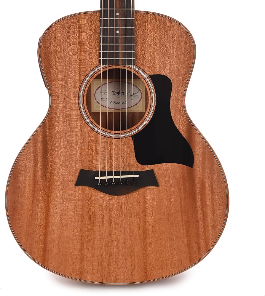 Amazon | Taylor/GS Mini-e Mahogany [定番人気品 新プリアンプ搭載