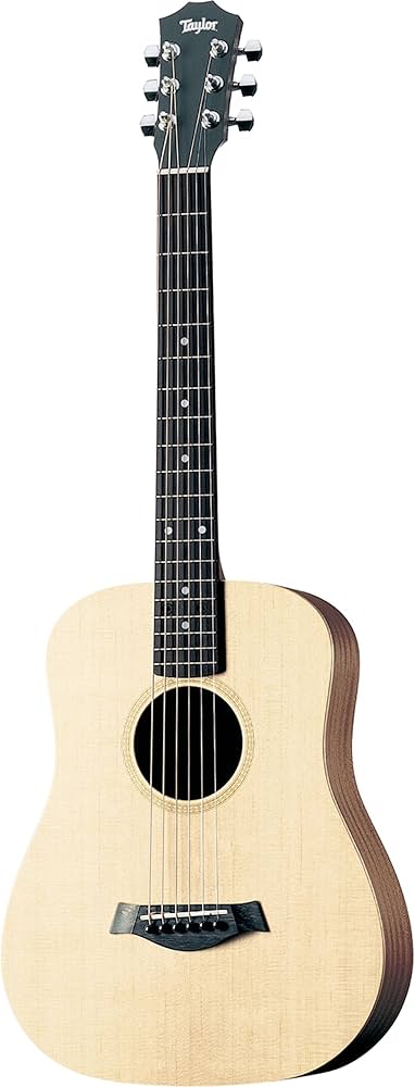 Amazon.com: Taylor Guitars Baby Taylor, BT1, Natural : Musical