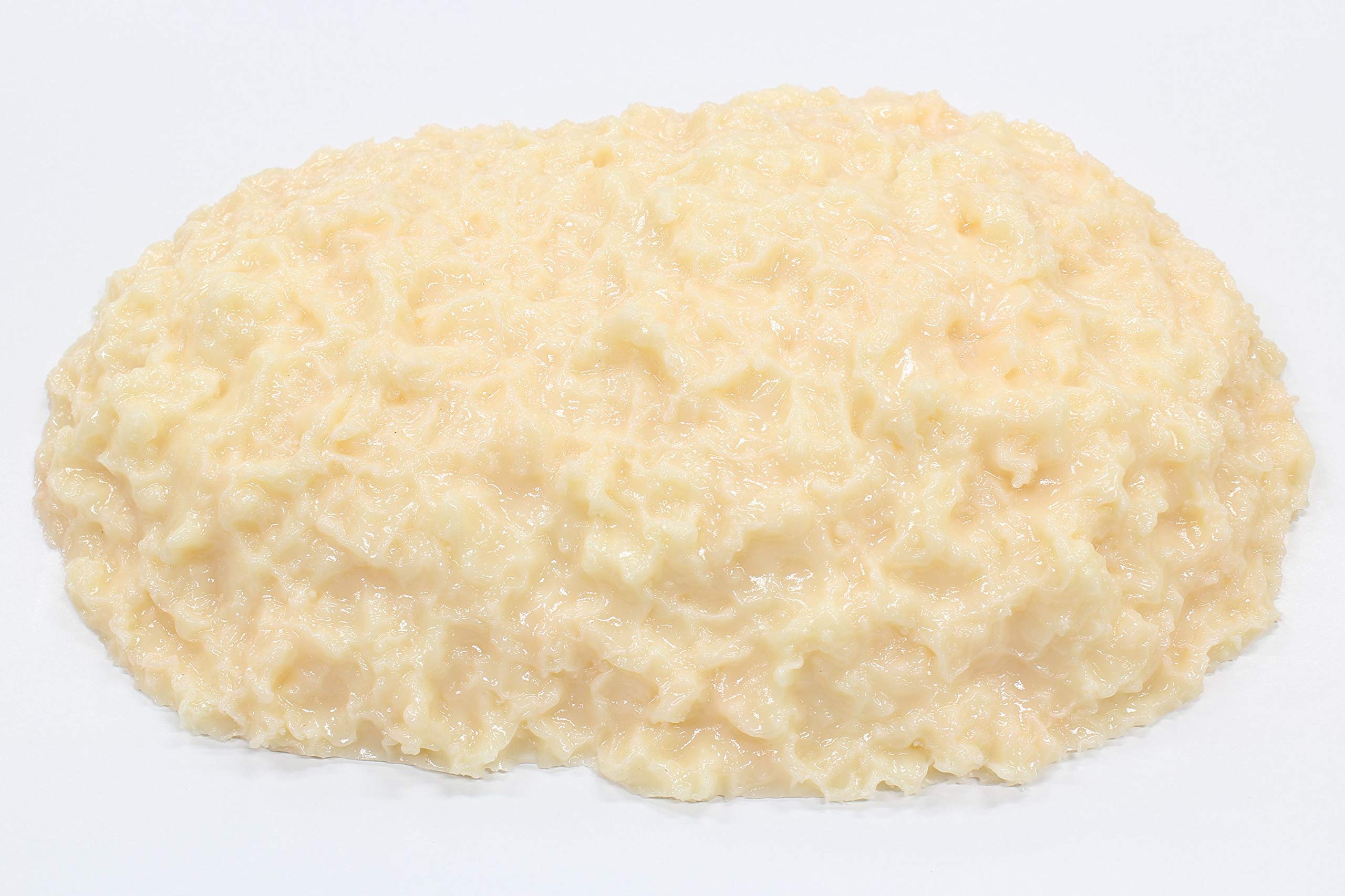 みやさま専用】脂肪模型 2kg 楽天市場】模型 脂肪 2kgの通販