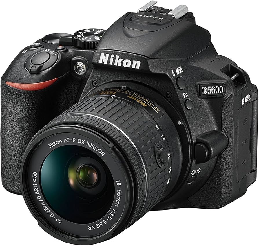 Amazon.com : Nikon D5600 DX-format Digital SLR w/ AF-P DX NIKKOR
