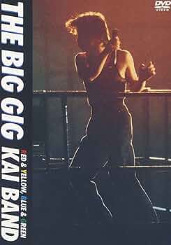 81VYj6EjarL._AC_UF350,