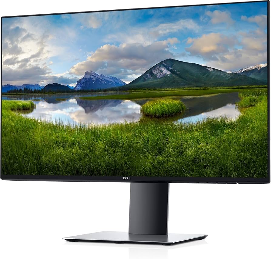 Amazon.com: Dell UltraSharp U2421HE 23.8 inch LED FHD USB-C