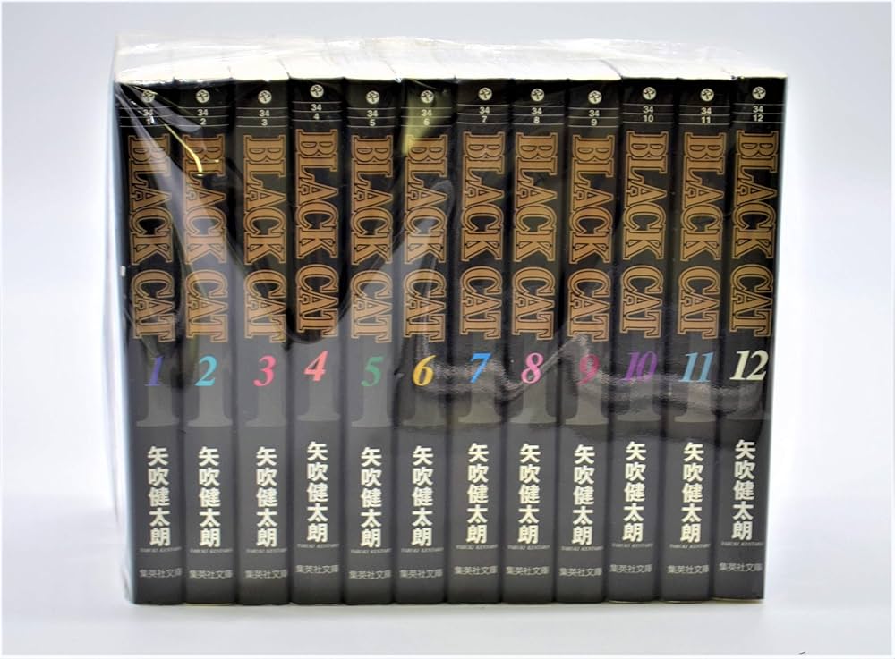 Amazon.co.jp: BLACK CAT 全12巻セット (集英社文庫(コミック版