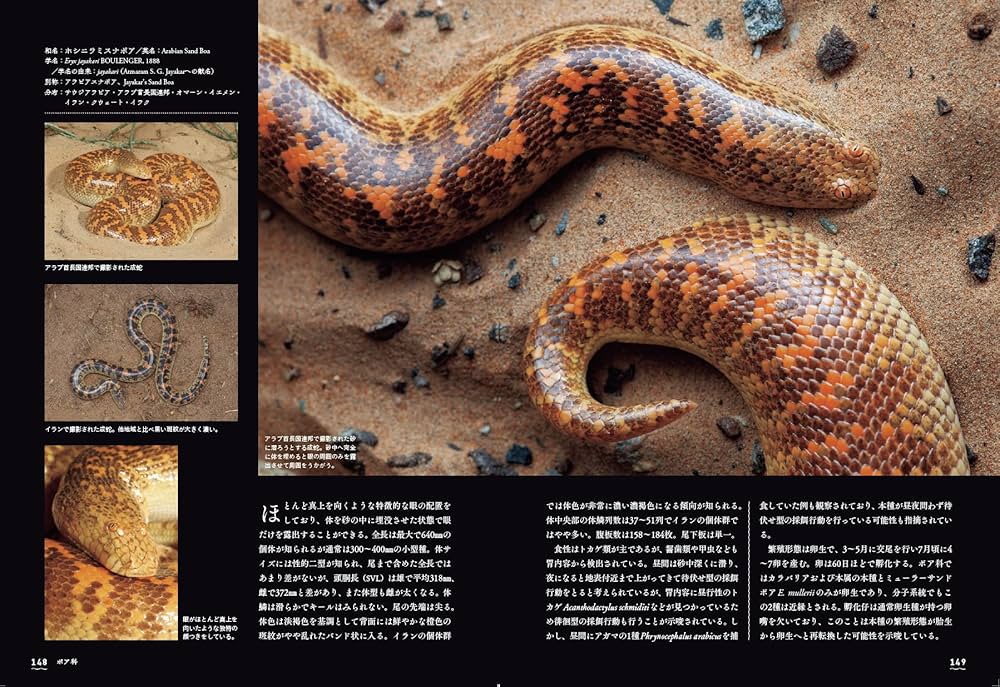 Amazon.co.jp: 大蛇全書 : 田原 義太慶, 柴田 弘紀, 友永 達也, 田原