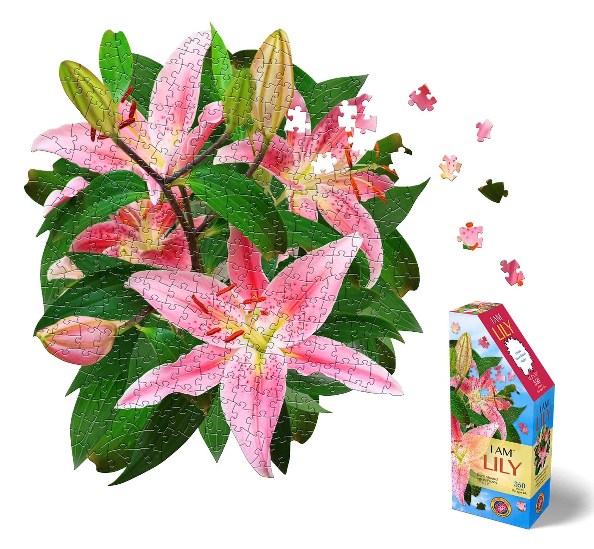 Amazon.com: Madd CAPP: I Am Lily - 350 Piece Jigsaw Puzzle - 8002