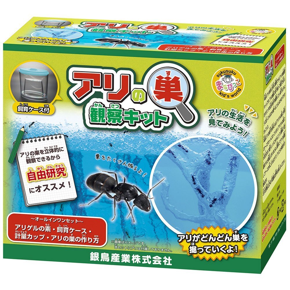 Amazon.co.jp: アリの巣観察キット : おもちゃ
