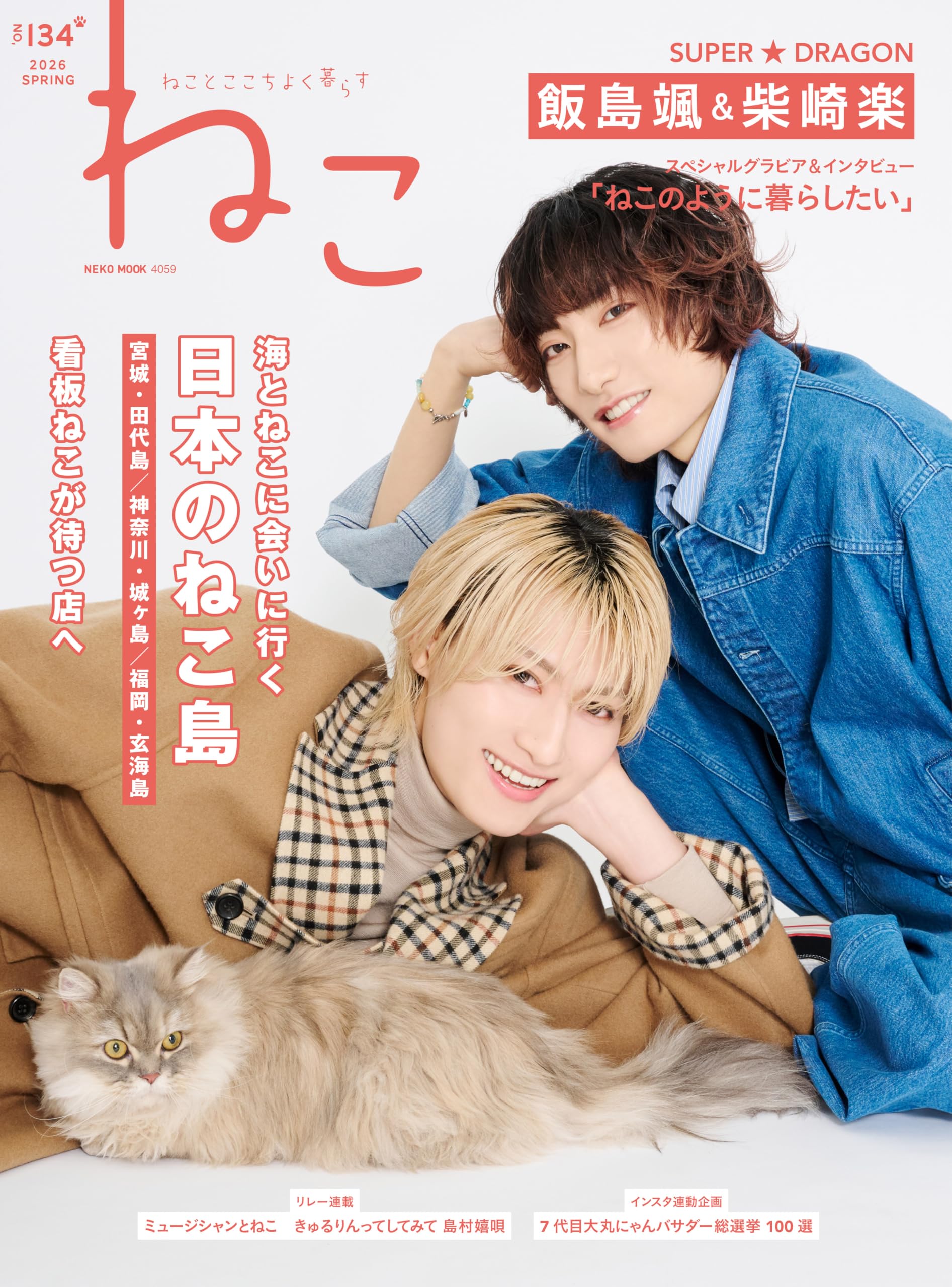 Amazon.co.jp: ねこ no.134 (NEKO MOOK) : ねこ編集部