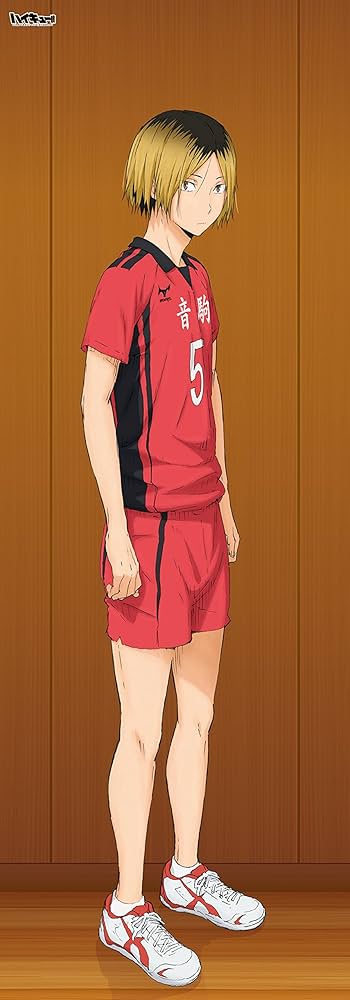 Amazon.co.jp: ハイキュー!! 等身大タペストリー 孤爪研磨 : ホビー