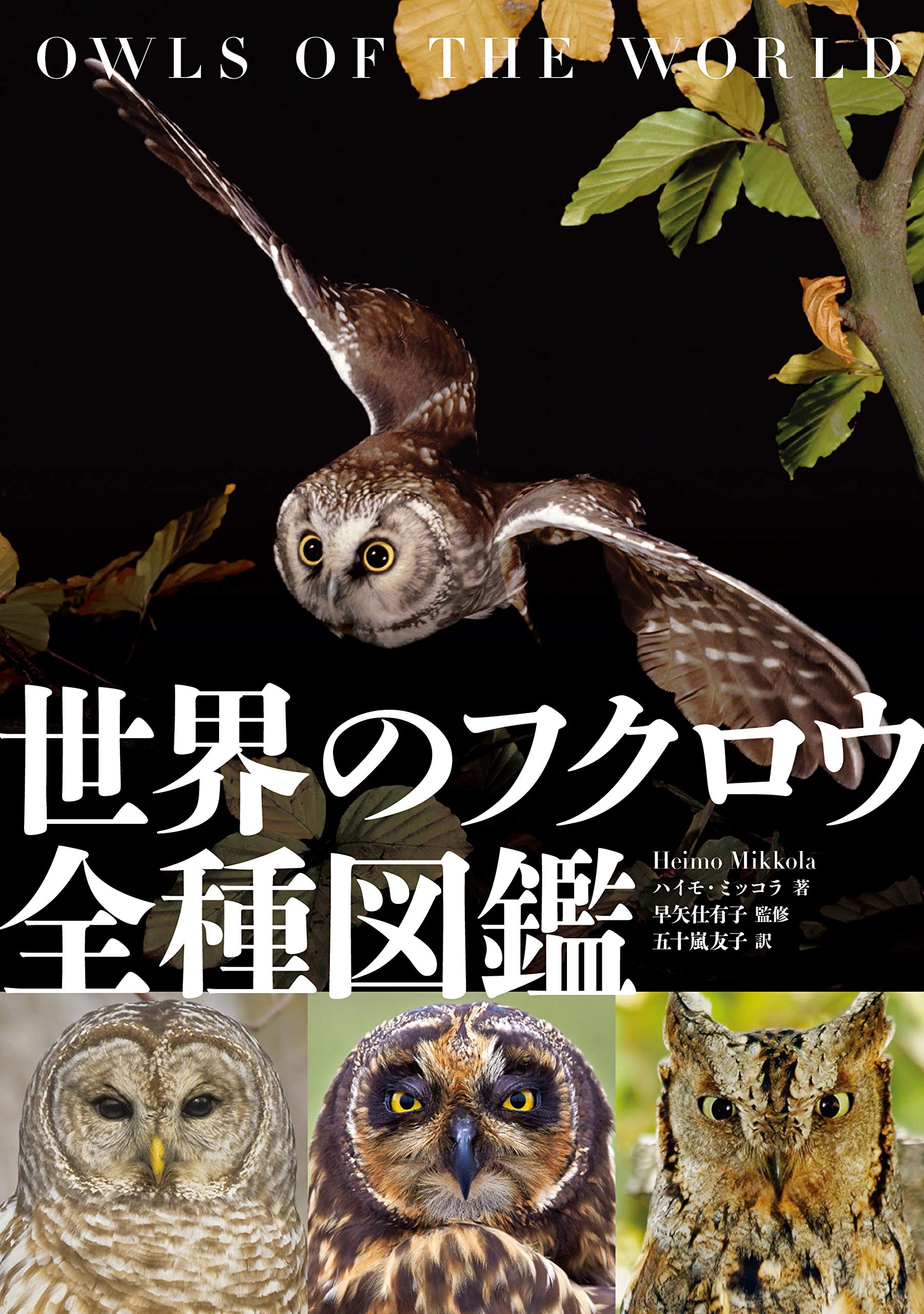 世界のフクロウ全種図鑑 | ハイモ・ミッコラ, 早矢仕 有子, 五十嵐