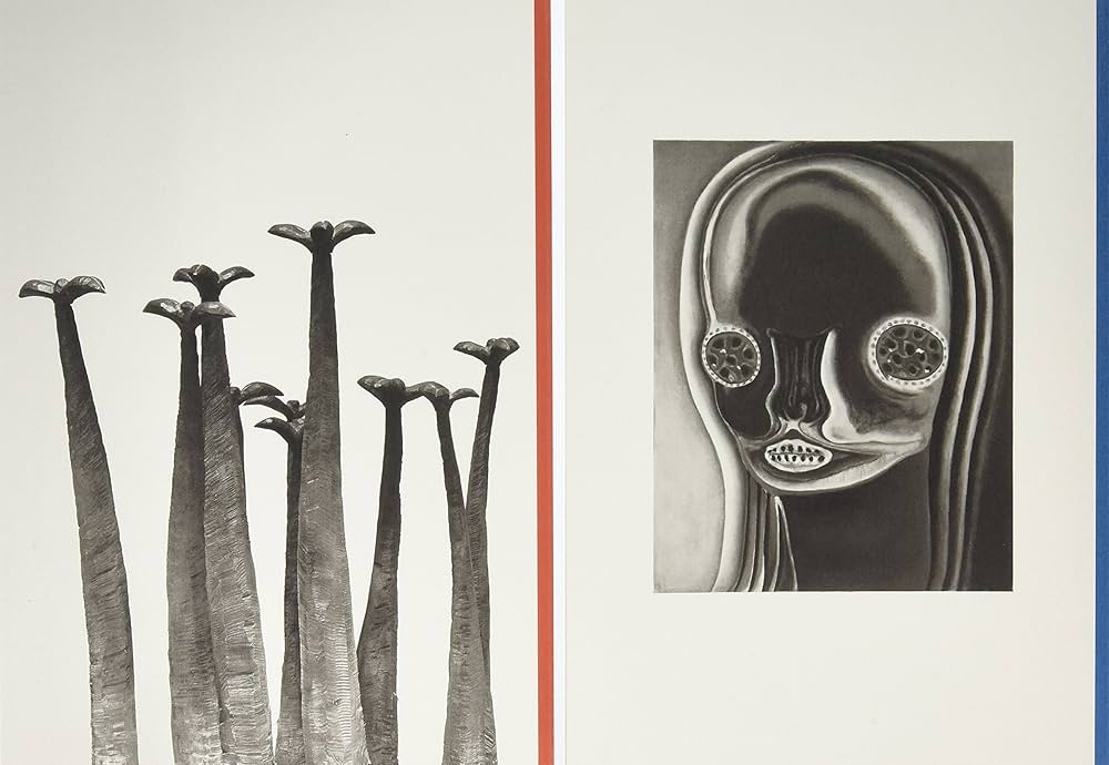 Amazon.co.jp: 加藤泉作品集 絵と彫刻 : 加藤泉: 本