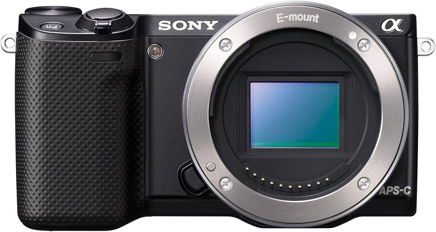 Amazon.com : Sony NEX-5R/B 16.1 MP Mirrorless Digital Camera with