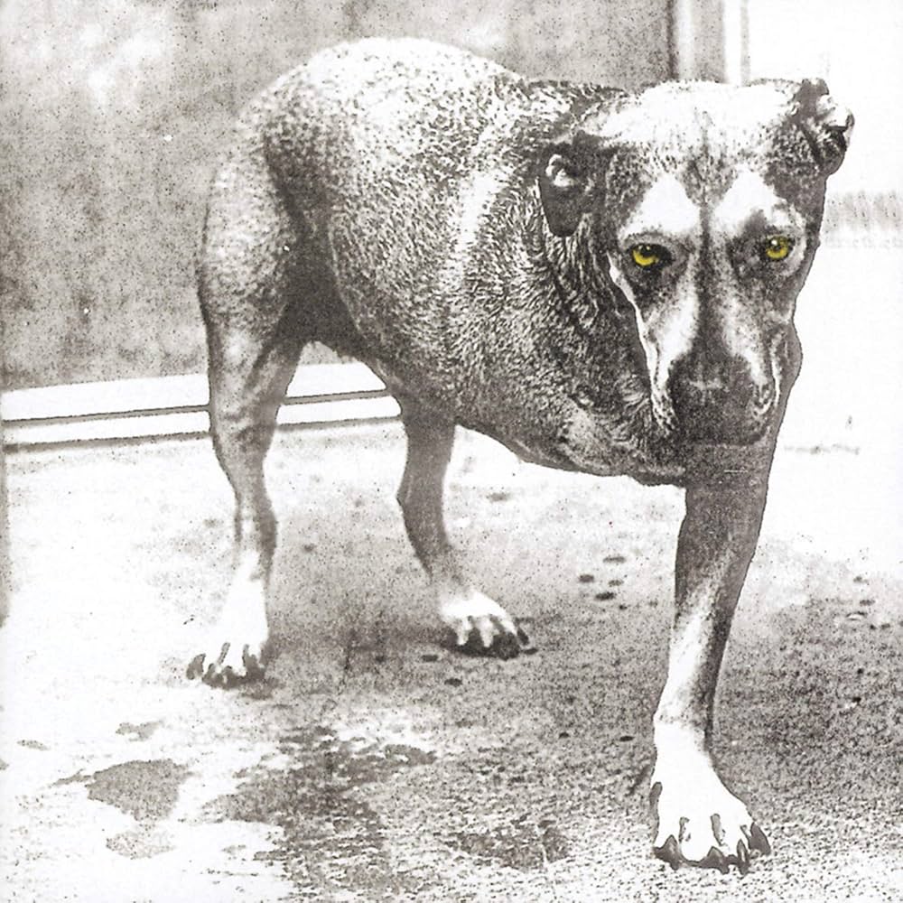 Alice In Chains - Alice in Chains - Amazon.com Music