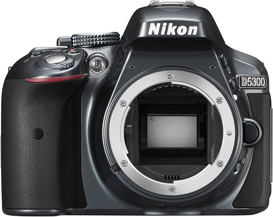 Amazon.com : Nikon D5300 Digital SLR Camera Body (Grey) (Renewed