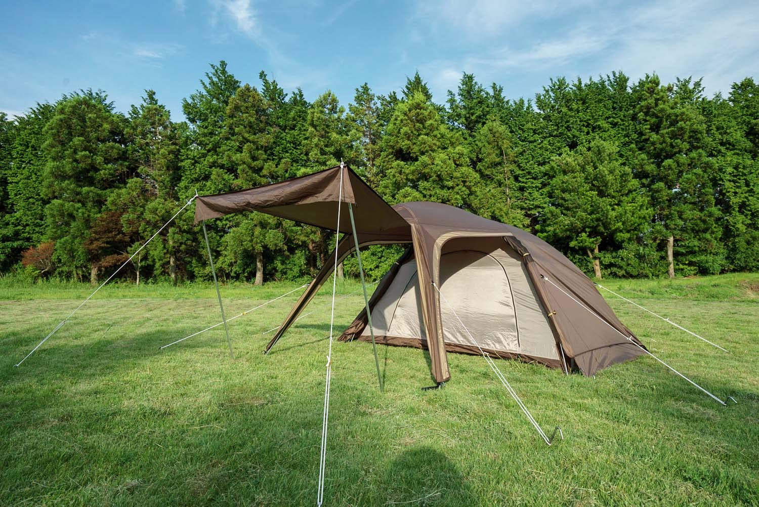 Amazon | ogawa(オガワ) アウトドア キャンプ テント ステイシー