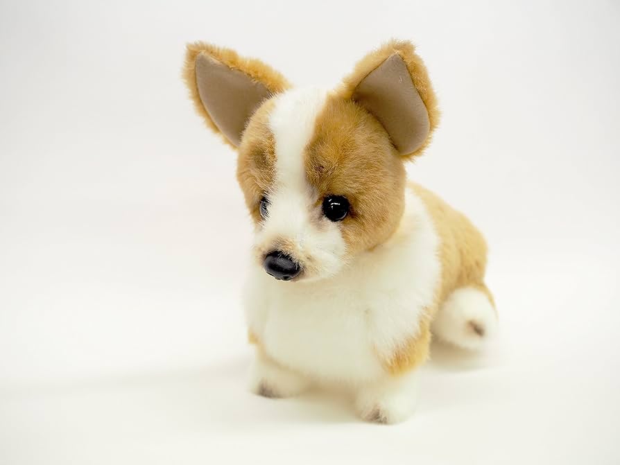 Amazon.co.jp: 三英貿易 グレイスフル イヌ (日本製) コーギー