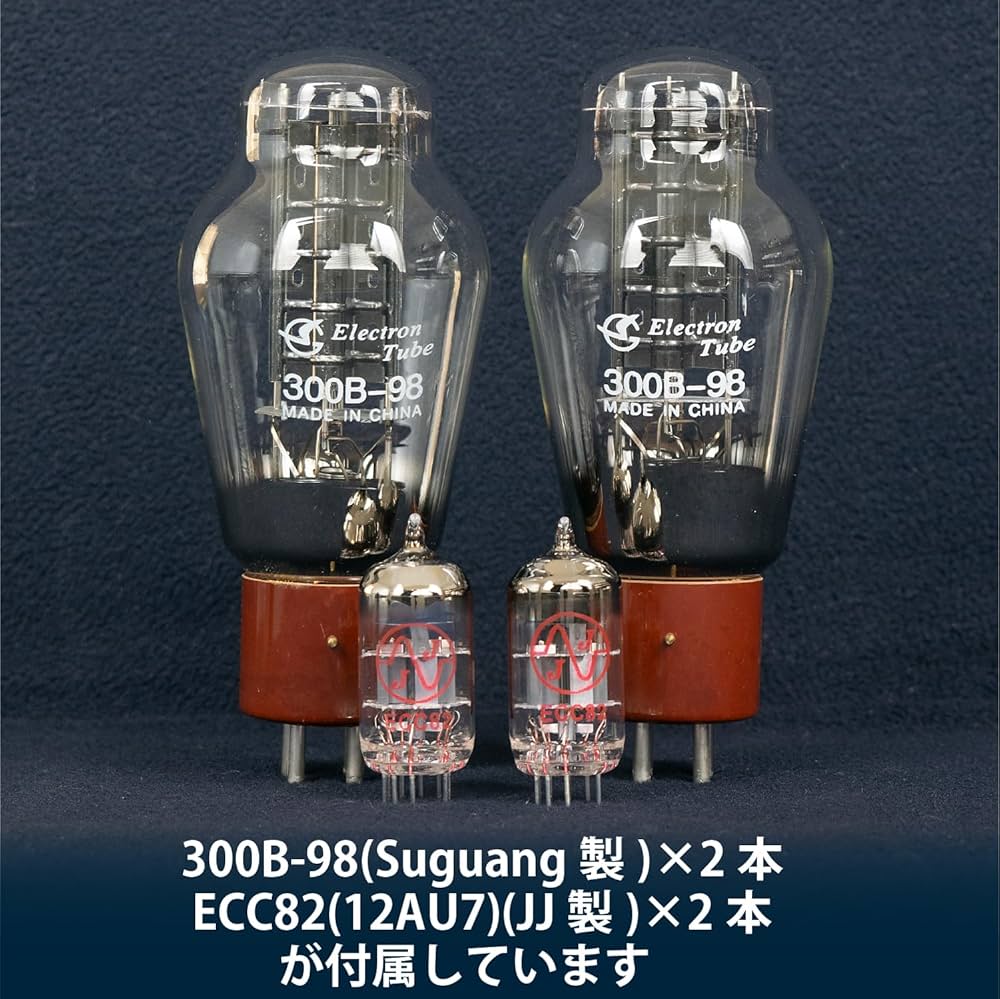 81eW2P8rETL._AC_UF1000,