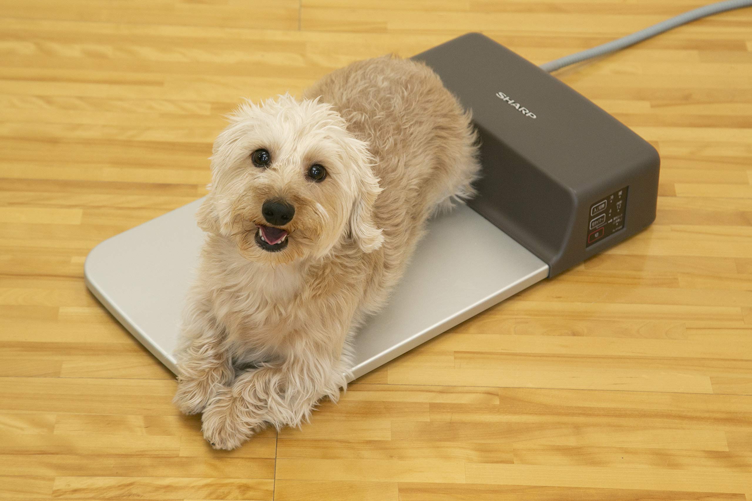 Amazon | シャープ 冷暖プレート | シャープ(SHARP) | 水槽 通販