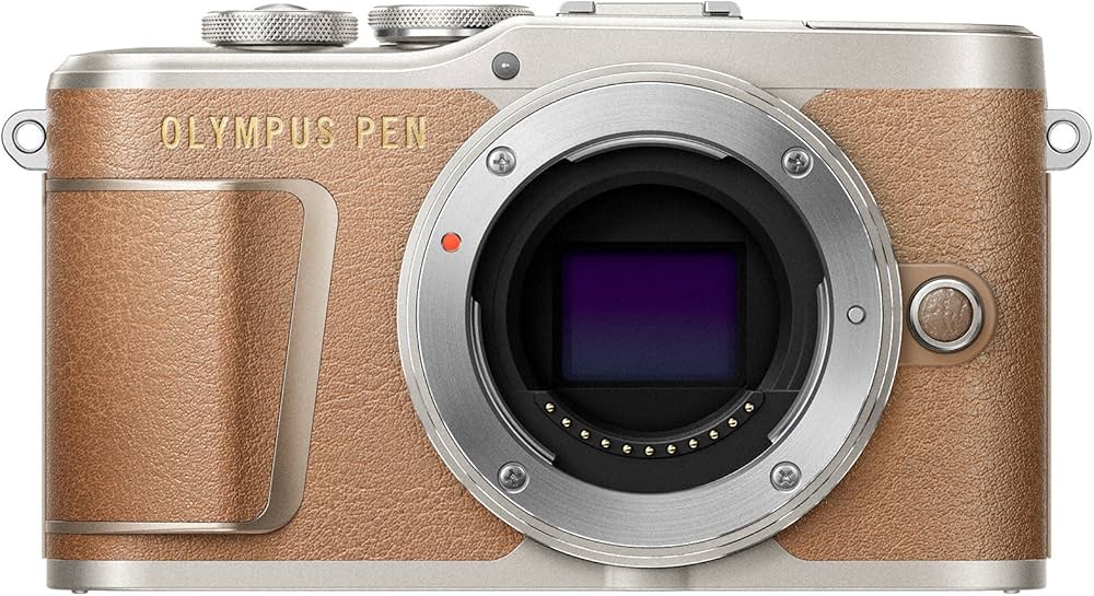 Amazon | OLYMPUS ミラーレス一眼 PEN E-PL9 ボディー ブラウン