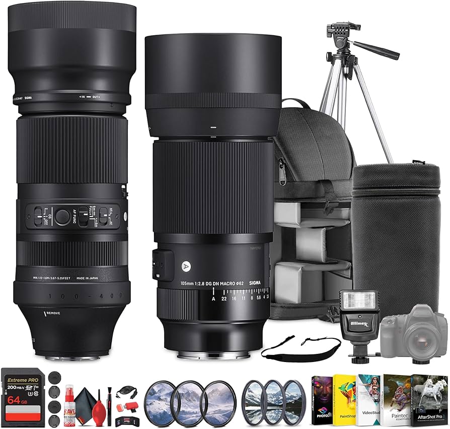 Amazon.com : Sigma 100-400mm f/5-6.3 DG DN OS Contemporary (750965