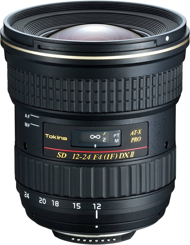 Amazon.com : Tokina AF 12-24mm f/4 AT-X 124 Pro DX II Lens - Nikon