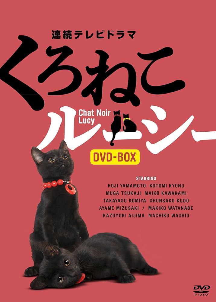 Amazon.co.jp: くろねこルーシー DVD-BOX : 山本耕史, 塚地武雅, 京野