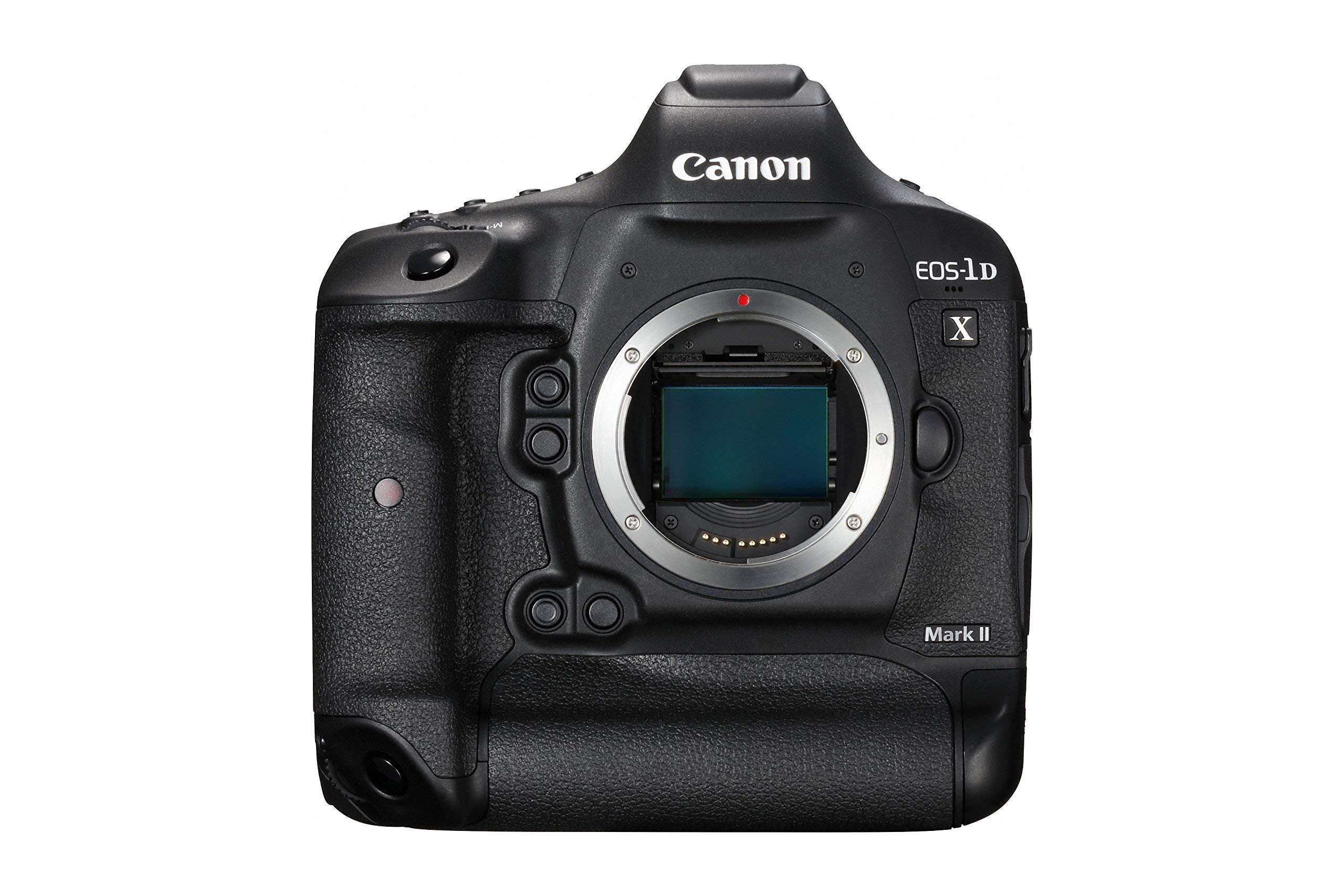 Amazon.com : Canon EOS-1DX Mark II DSLR Camera (Body Only