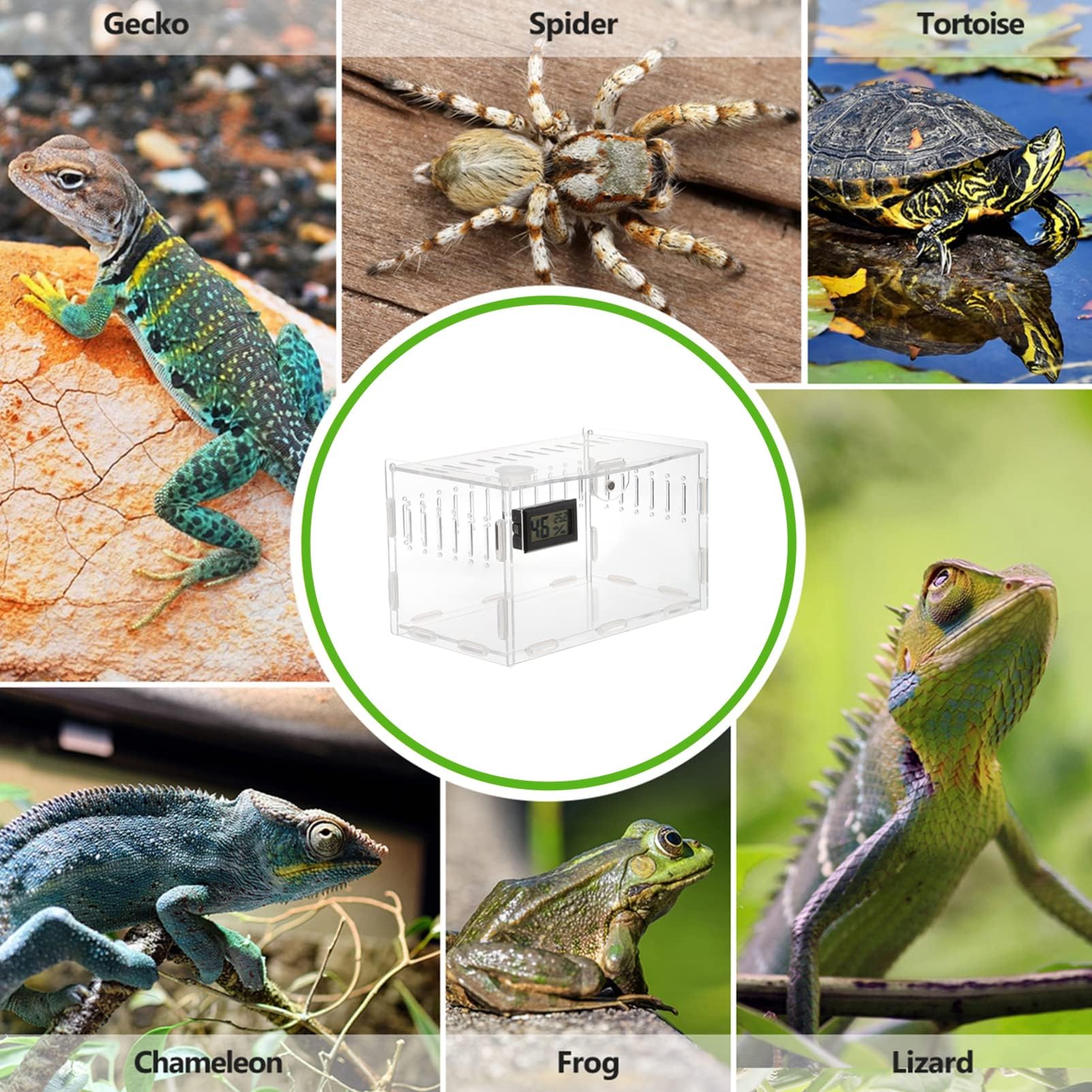 Amazon.co.jp: ZNUJS(さちえ) 爬虫類 ケージ 30*20*15cmトカゲ ケージ