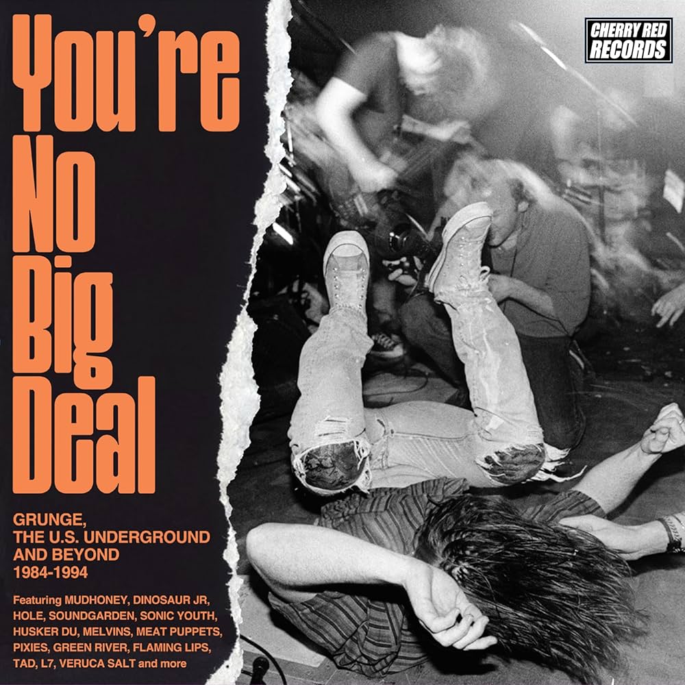You're No Big Deal: Grunge Us Underground & Beyond - You're No Big