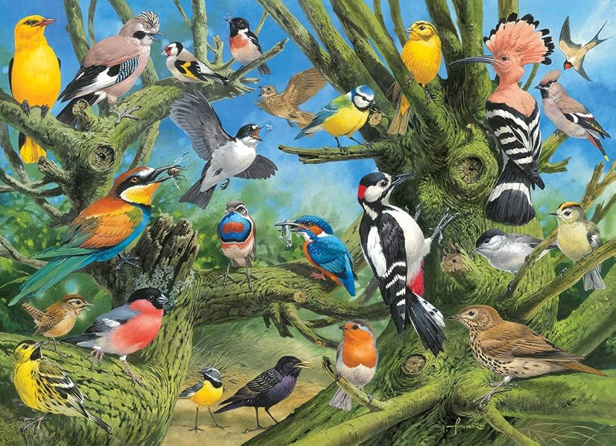 Amazon.com: EuroGraphics Garden Birds by Joahn Francis 1000-Piece