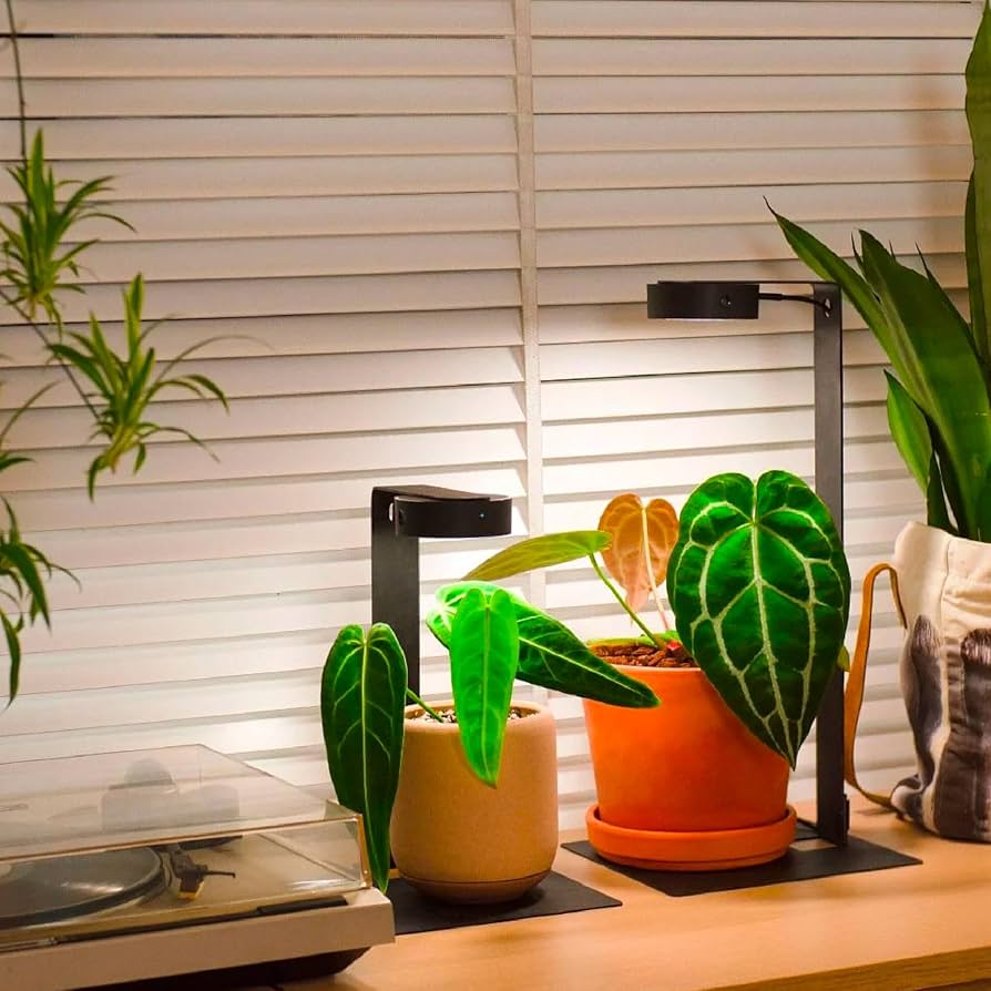 Amazon.co.jp: MIST O マグネット式植物育成ライト スタンド付きセット