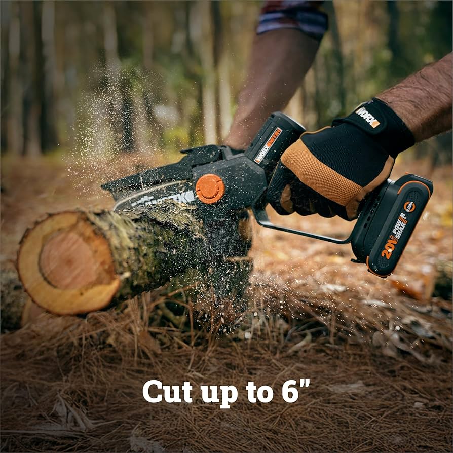 Amazon.com : Worx 20V Cordless 5