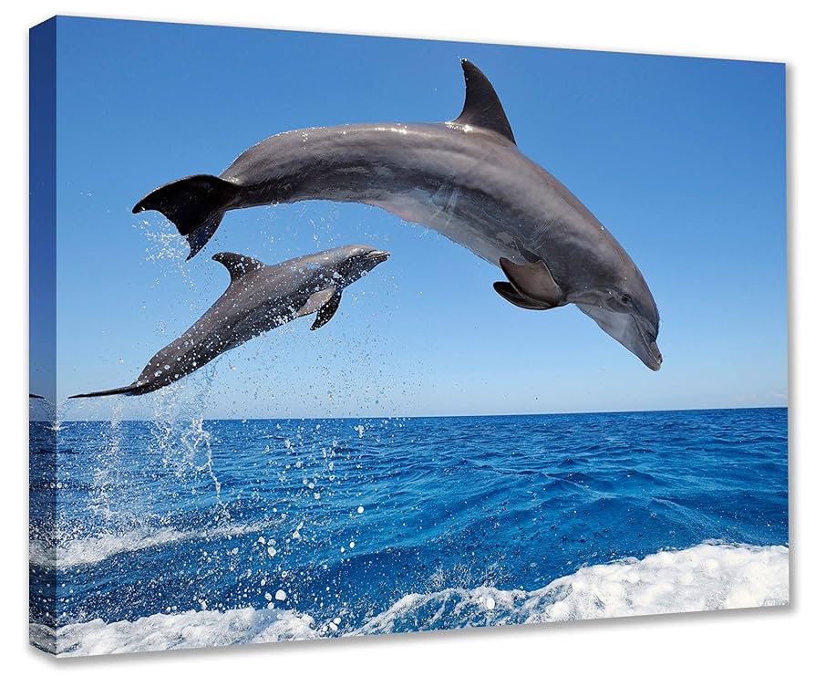 スプレーアートエデン 原画 海とイルカ F6 キャンバス 【公式通販】