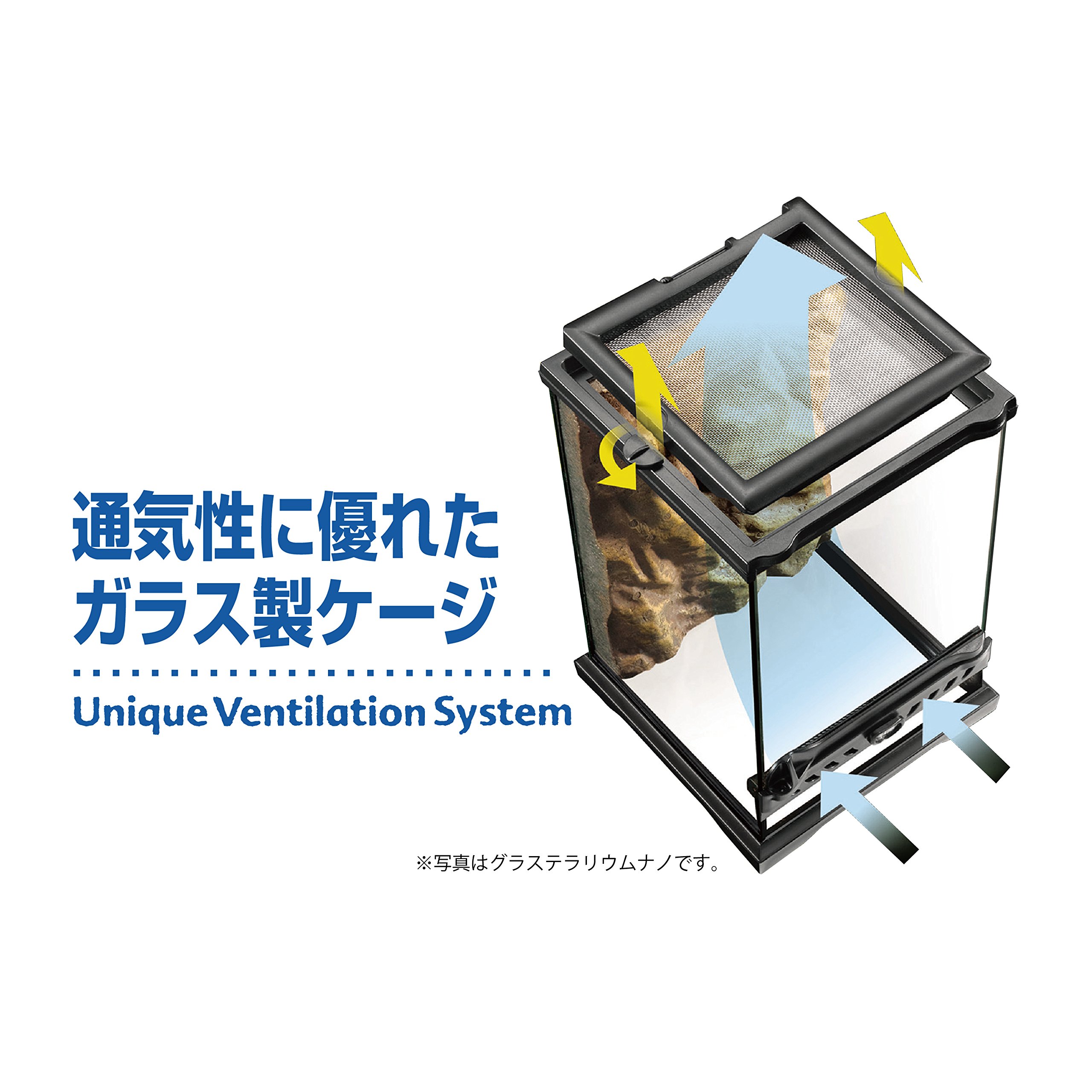 Amazon | GEX EXOTERRA グラステラリウム9060 PT2614 両開きフロント