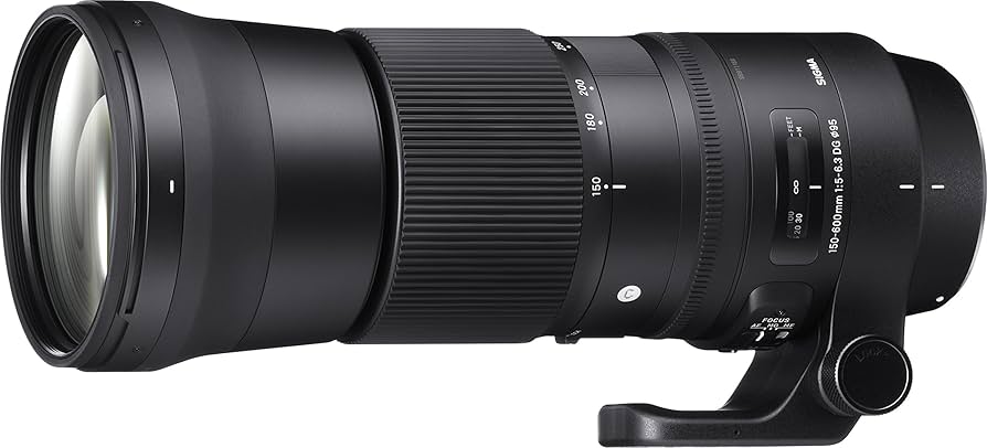 Amazon.com : Sigma 150-600mm 5-6.3 Contemporary DG OS HSM Lens for