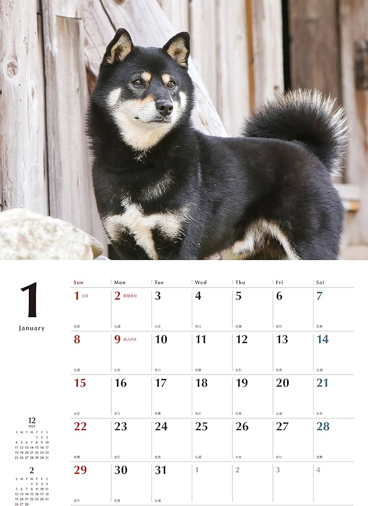 Amazon.co.jp: 黒柴カレンダー2023(壁掛け) ([カレンダー]) : 蜂巣