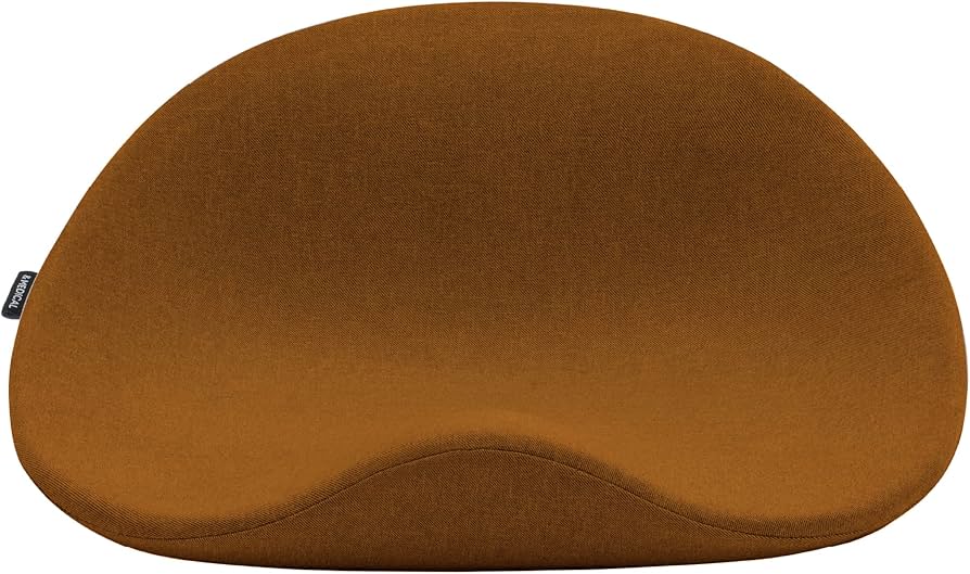 Amazon.co.jp: アンドメディカル KURA SEAT 座椅子 姿勢矯正 腰痛 椅子