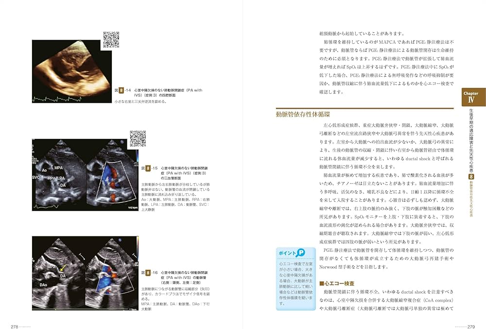 改訂2版 新生児の心エコー入門:超音波検査にもとづくNICU循環管理の