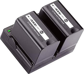 Amazon.com: BM Premium 2 VW-VBD58 Batteries and Dual Bay Charger