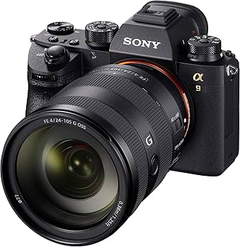 Amazon.com : Sony FE 24-105mm f/4 G OSS Full-Frame E-Mount Lens