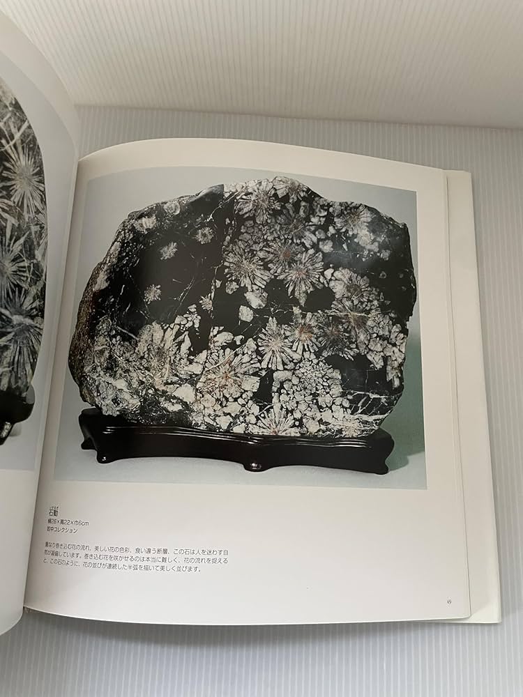 Amazon.co.jp: 菊花石の世界 : 石原 宣夫: Japanese Books