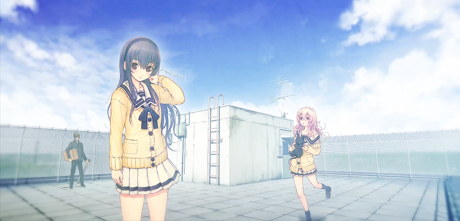 Amazon.co.jp: 君と彼女と彼女の恋。 普及版 : PCソフト