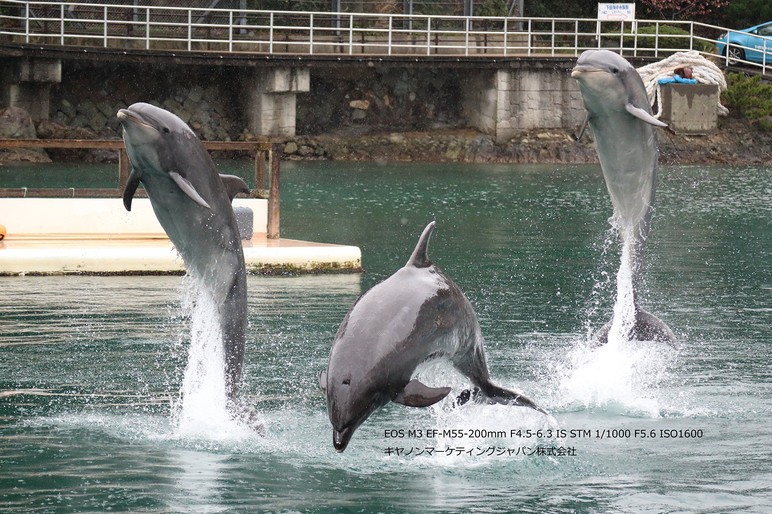 Amazon | Canon ミラーレス一眼カメラ EOS M3 ダブルレンズキット