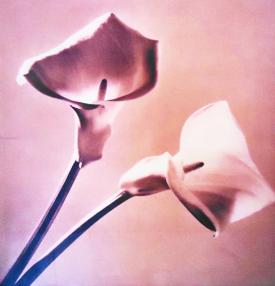 Pistils: Mapplethorpe, Robert: 9780679408055: Amazon.com: Books