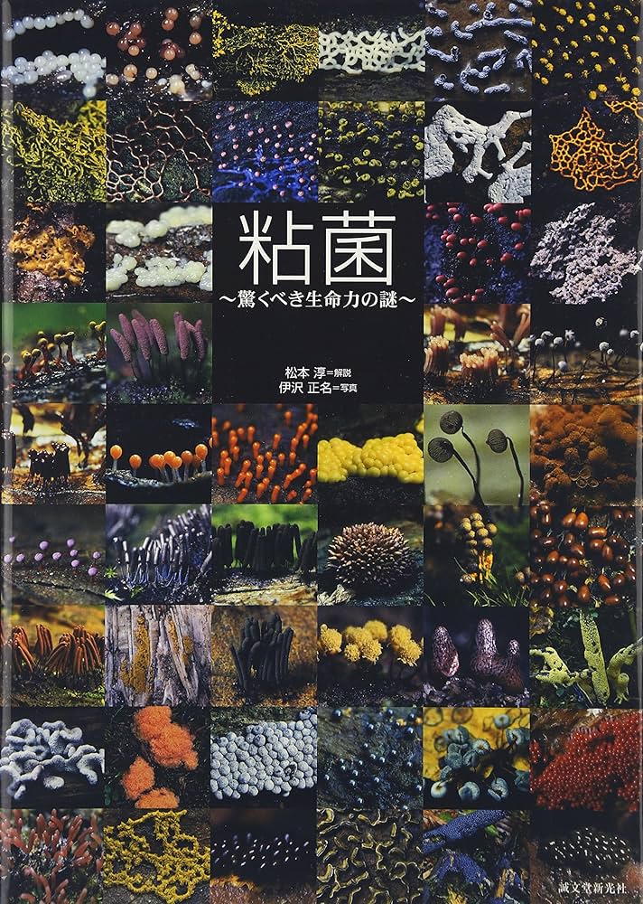 粘菌: 驚くべき生命力の謎 | 松本 淳, 伊沢 正名 |本 | 通販 | Amazon