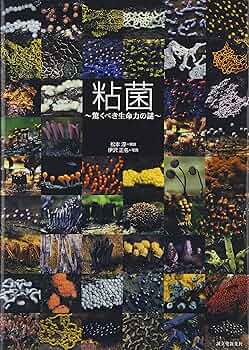 粘菌: 驚くべき生命力の謎 | 松本 淳, 伊沢 正名 |本 | 通販 | Amazon