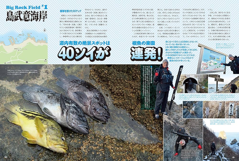 新版 根魚北海道(巨大ロックフィッシュを攻略! ) (North Angler's